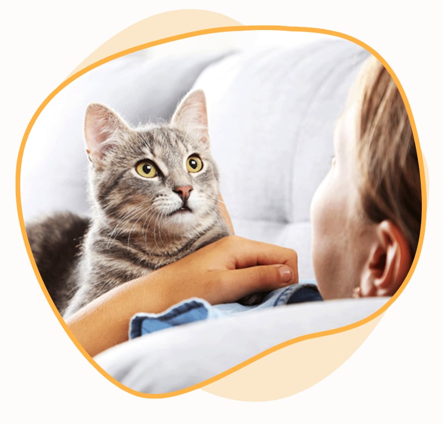 Pet Sitter in Laporte, CO
